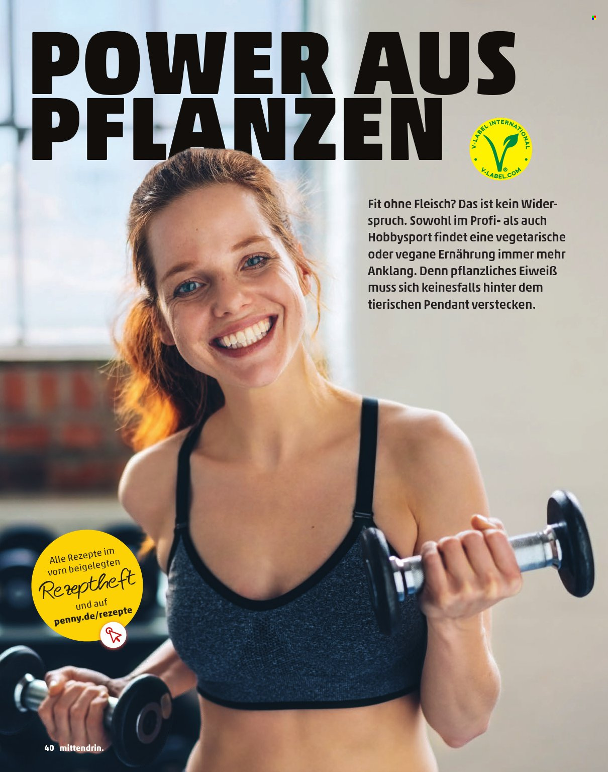 Penny Prospekte .