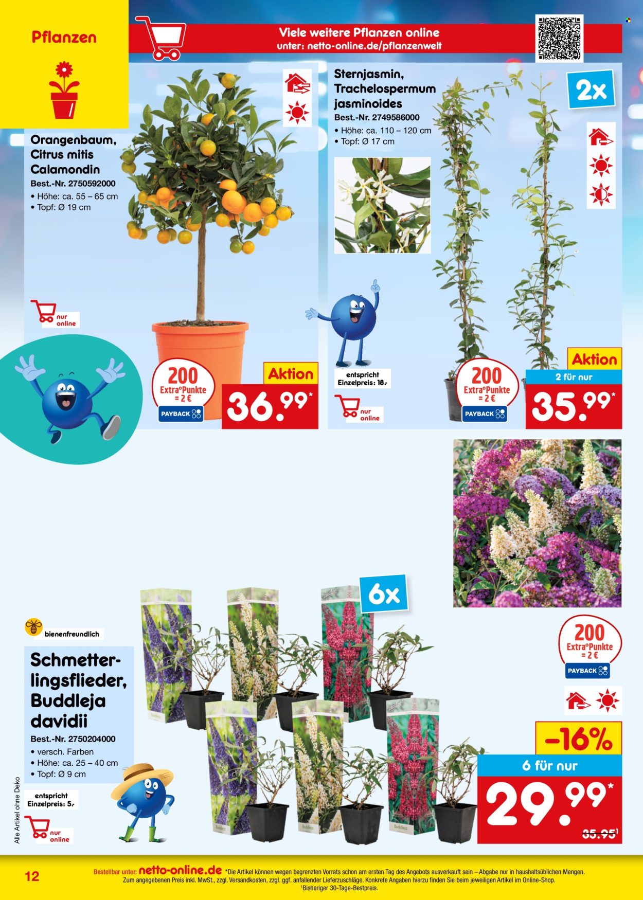 Netto Marken-Discount Prospekte  - 1.5.2025 - 31.5.2025.