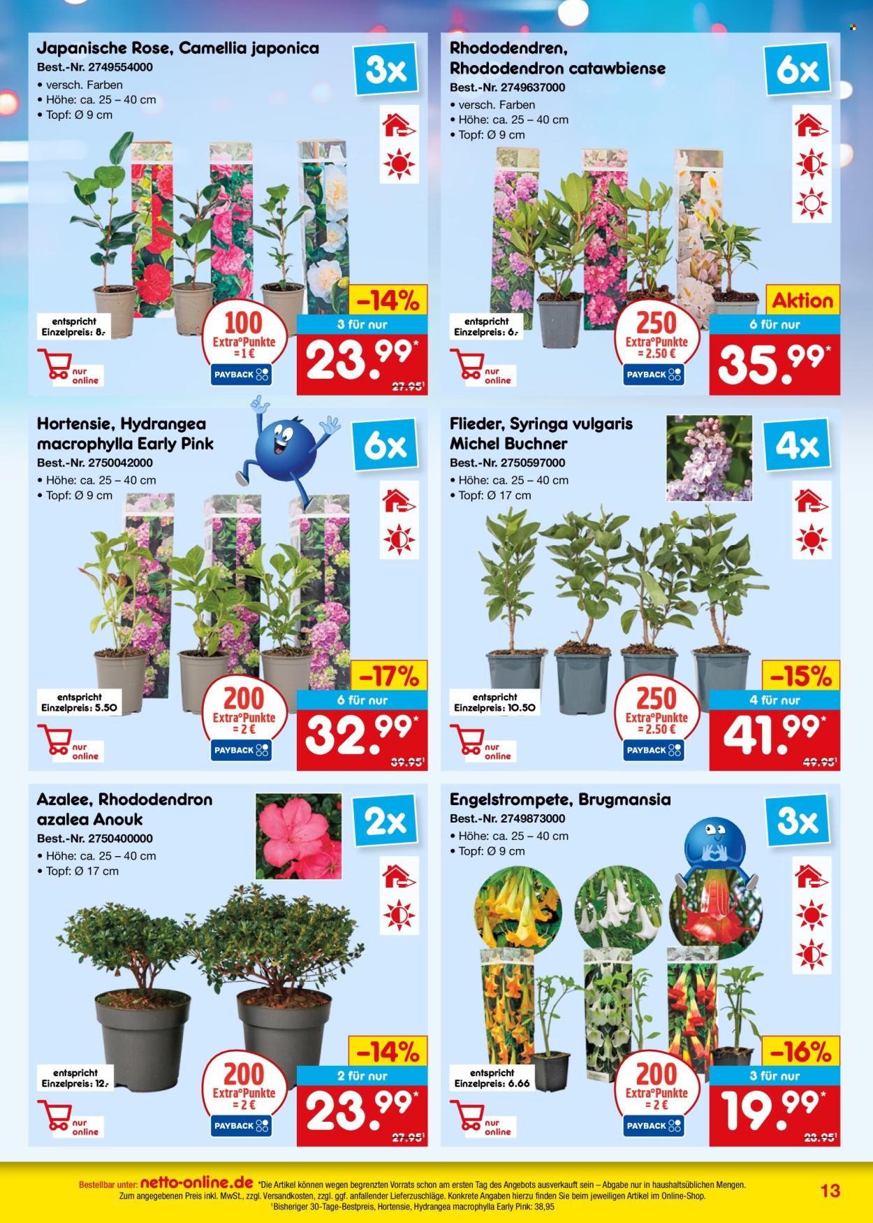 Netto Marken-Discount Prospekte  - 1.5.2025 - 31.5.2025.
