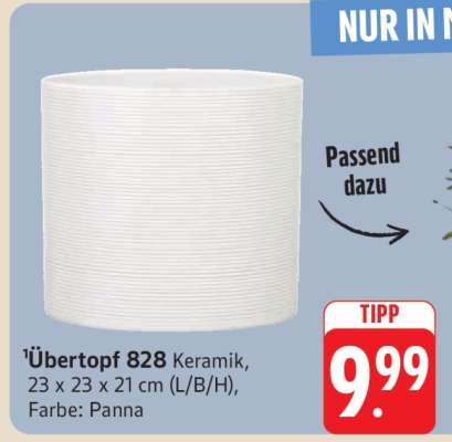 Übertopf 828