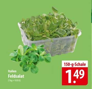 Italien Feldsalat