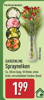 GARDENLINE Spraynelken