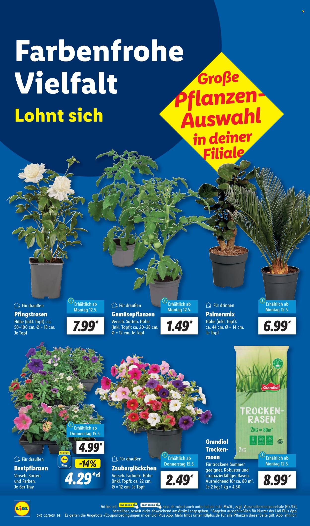 Lidl Prospekte  - 12.5.2025 - 17.5.2025.
