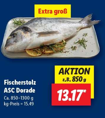 Fischerstolz ASC Dorade