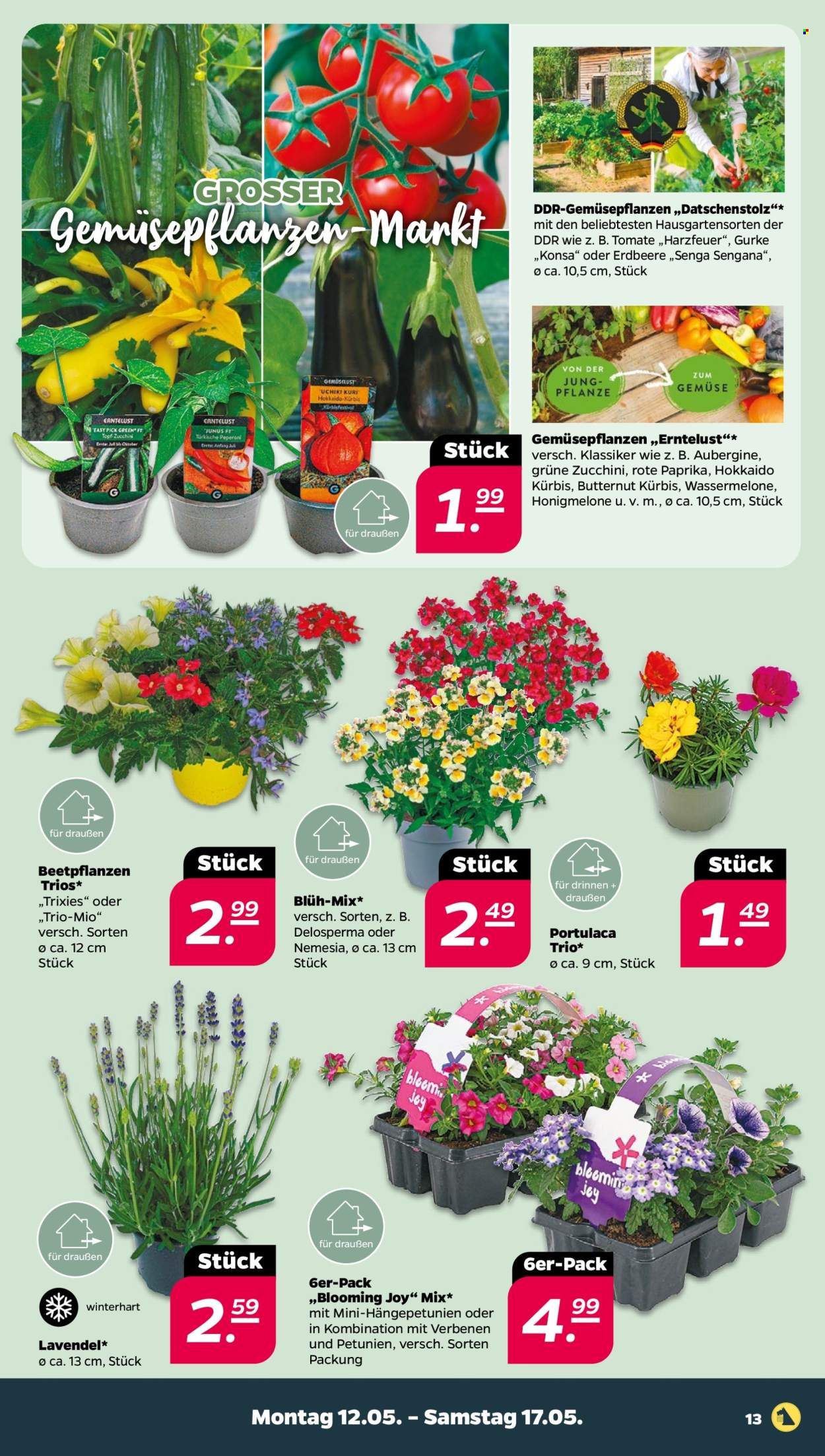 Netto Prospekte  - 12.5.2025 - 17.5.2025.