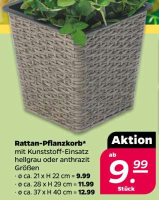 Rattan-Pflanzkorb