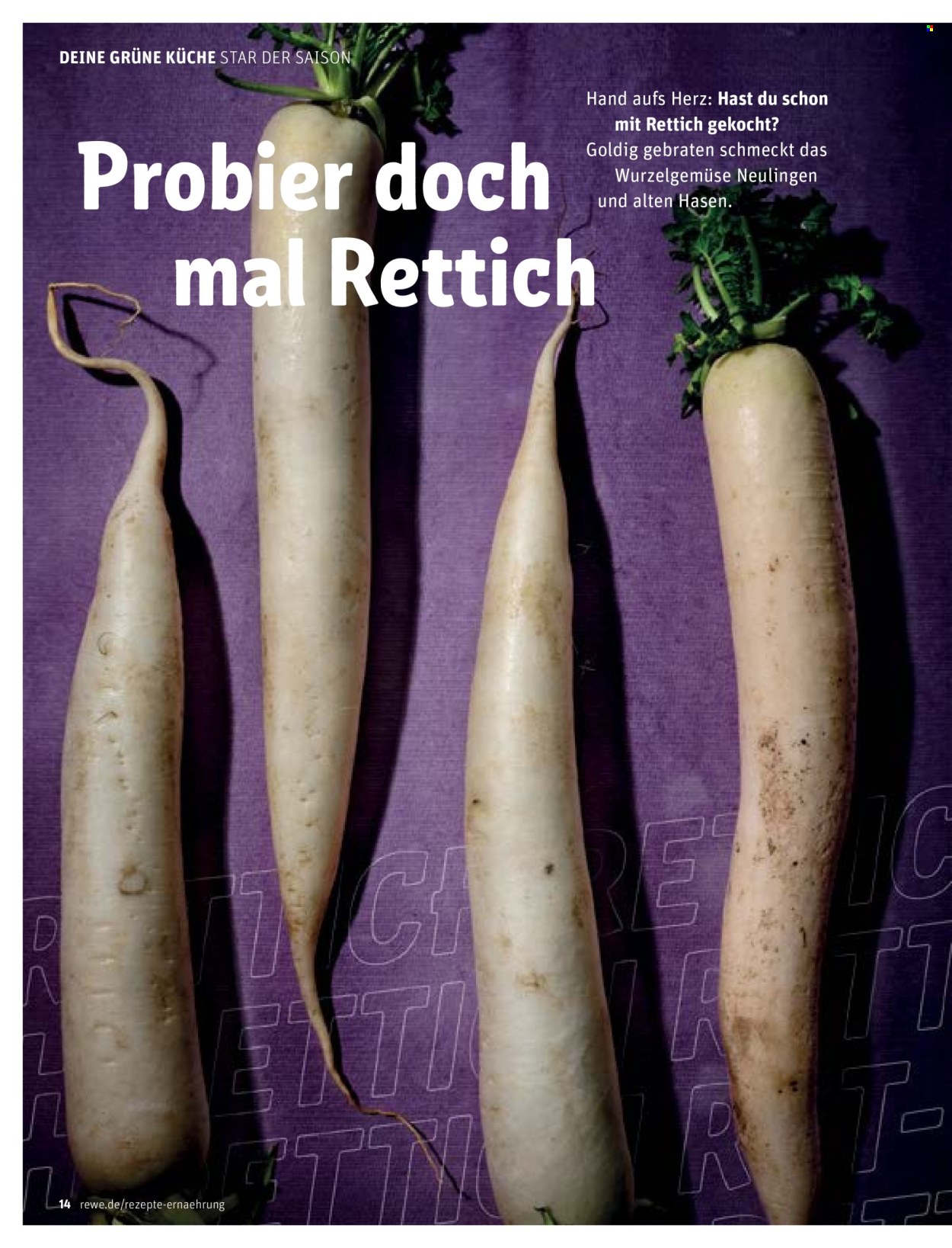 REWE Prospekte .