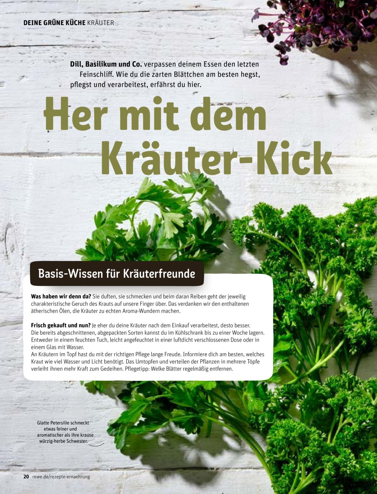 REWE Prospekte .