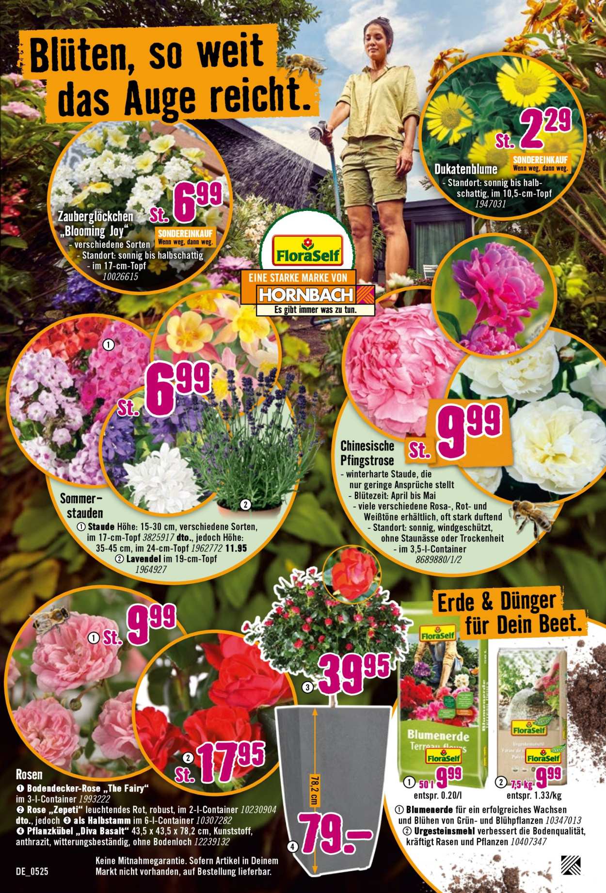 Hornbach Prospekte  - 7.5.2025 - 4.6.2025.
