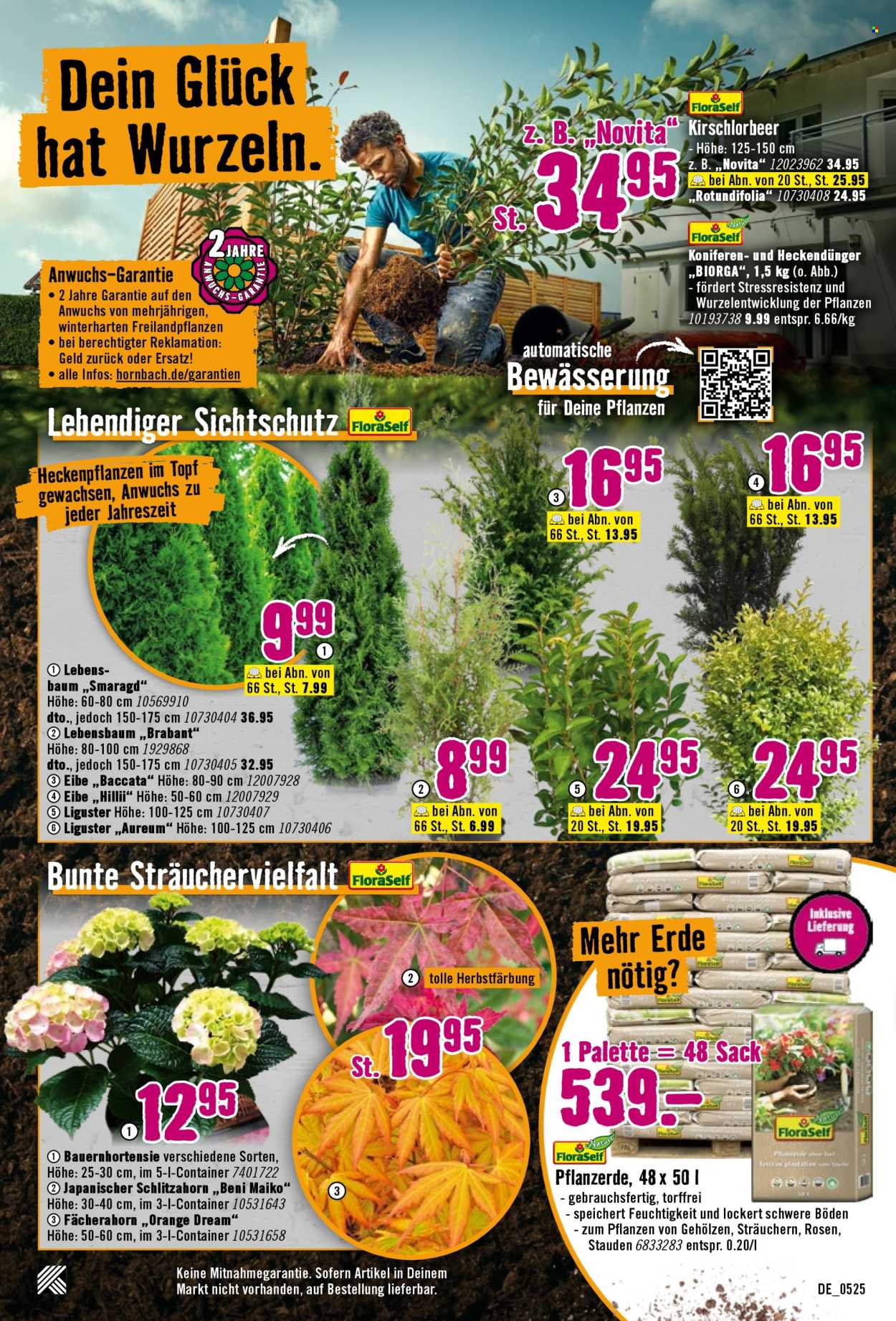 Hornbach Prospekte  - 7.5.2025 - 4.6.2025.