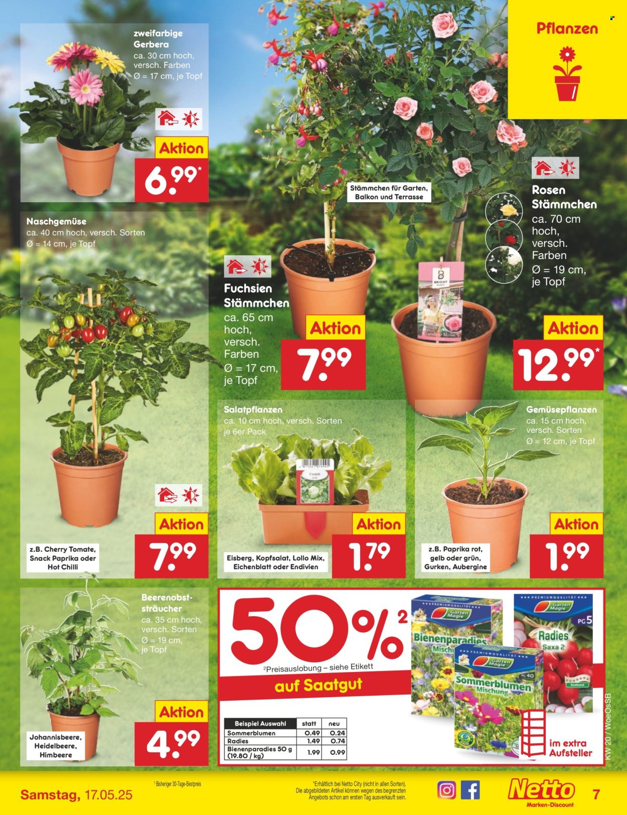Netto Marken-Discount Prospekte  - 12.5.2025 - 17.5.2025.
