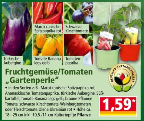 Fruchtgemüse/Tomaten „Gartenperle“
