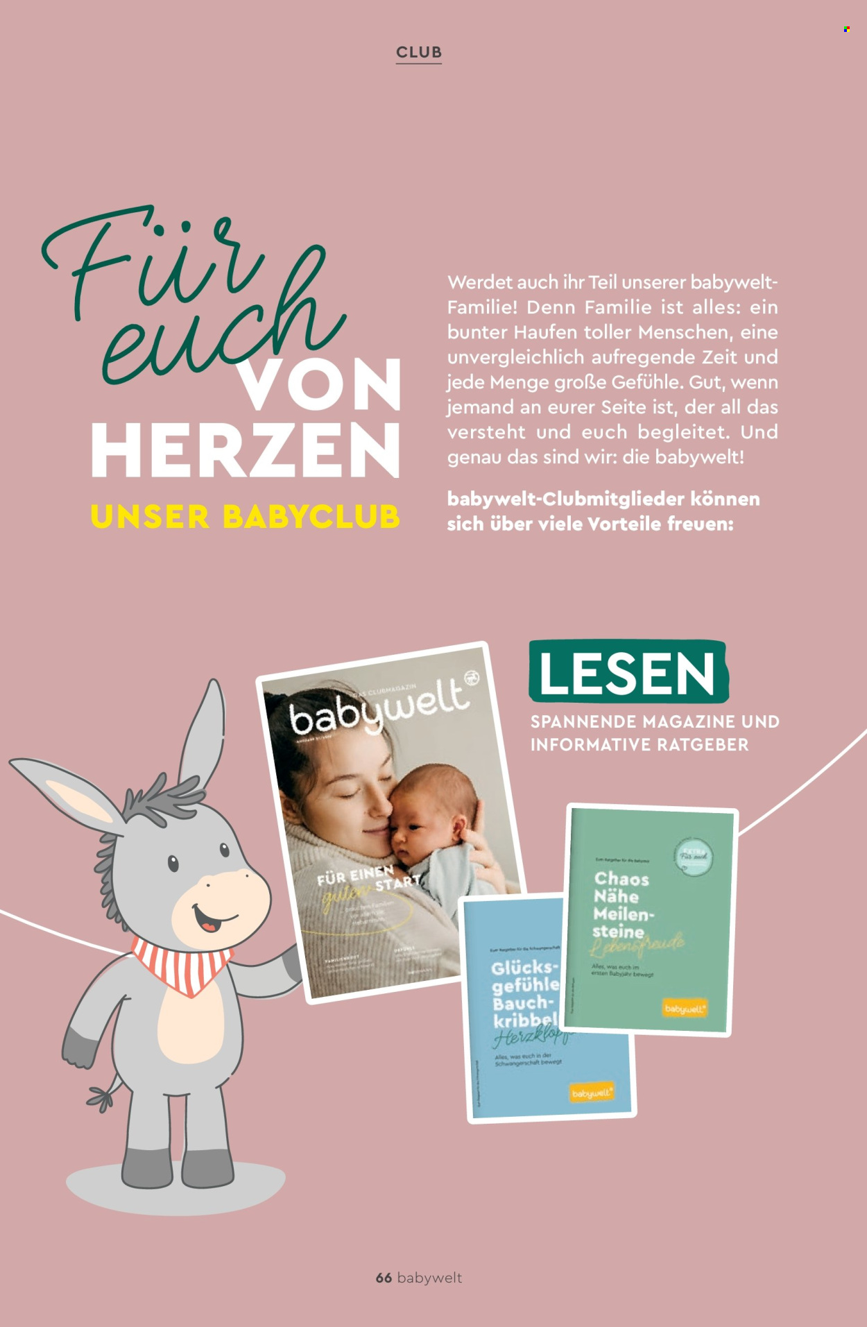 Rossmann Prospekte . Seite 66