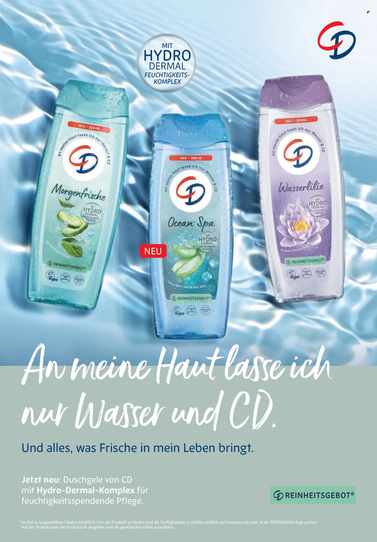 Rossmann Prospekte  - 1.8.2025 - 31.8.2025. Seite 33