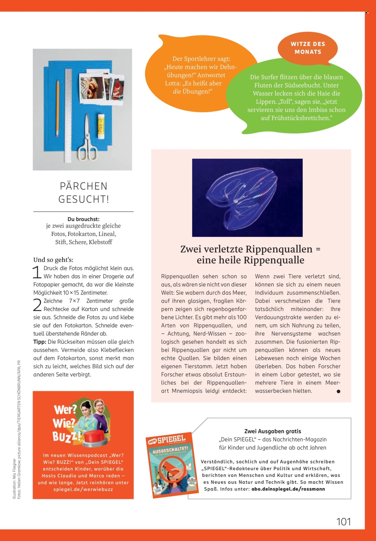 Rossmann Prospekte  - 1.8.2025 - 31.8.2025. Seite 101