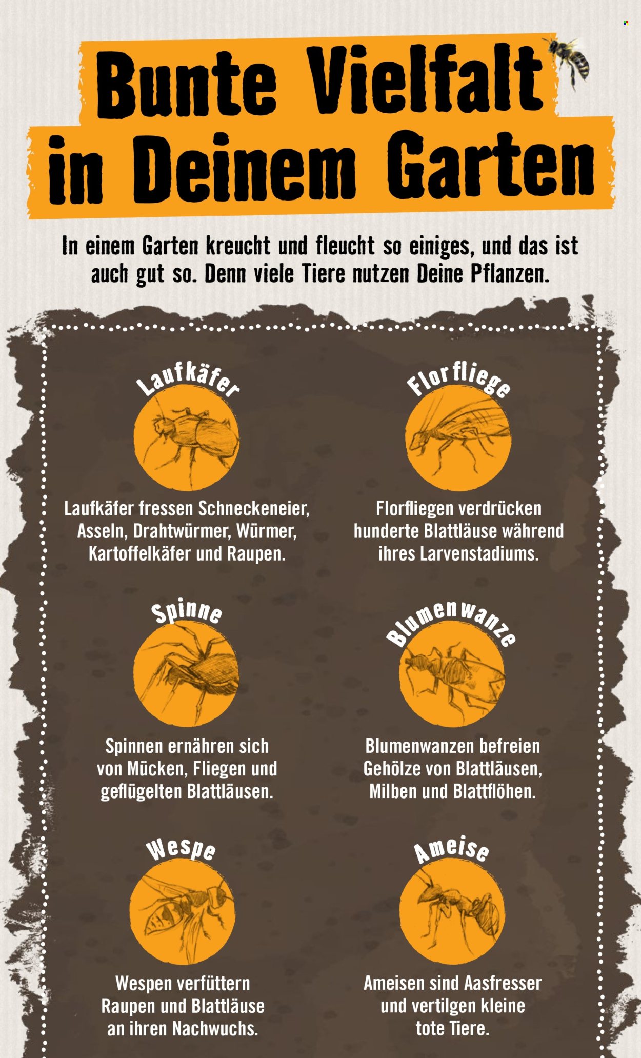 Hornbach Prospekte . Seite 10