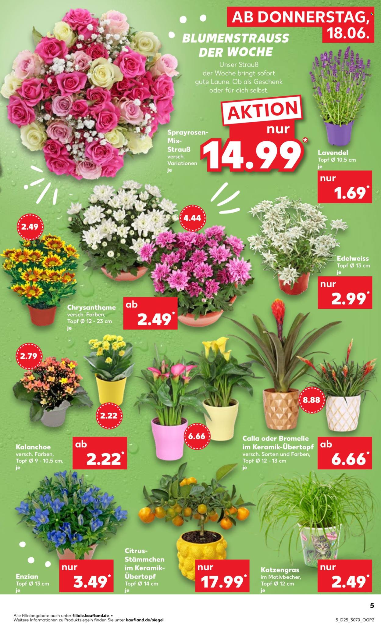 Kaufland Prospekte  - 18.6.2026 - 24.6.2026. Seite 5