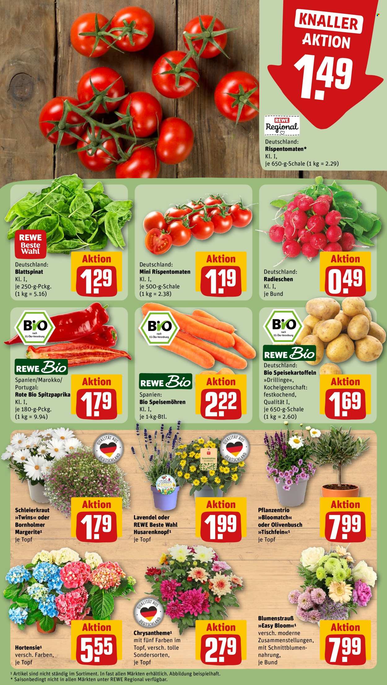 REWE Prospekte  - 15.6.2026 - 21.6.2026. Seite 11