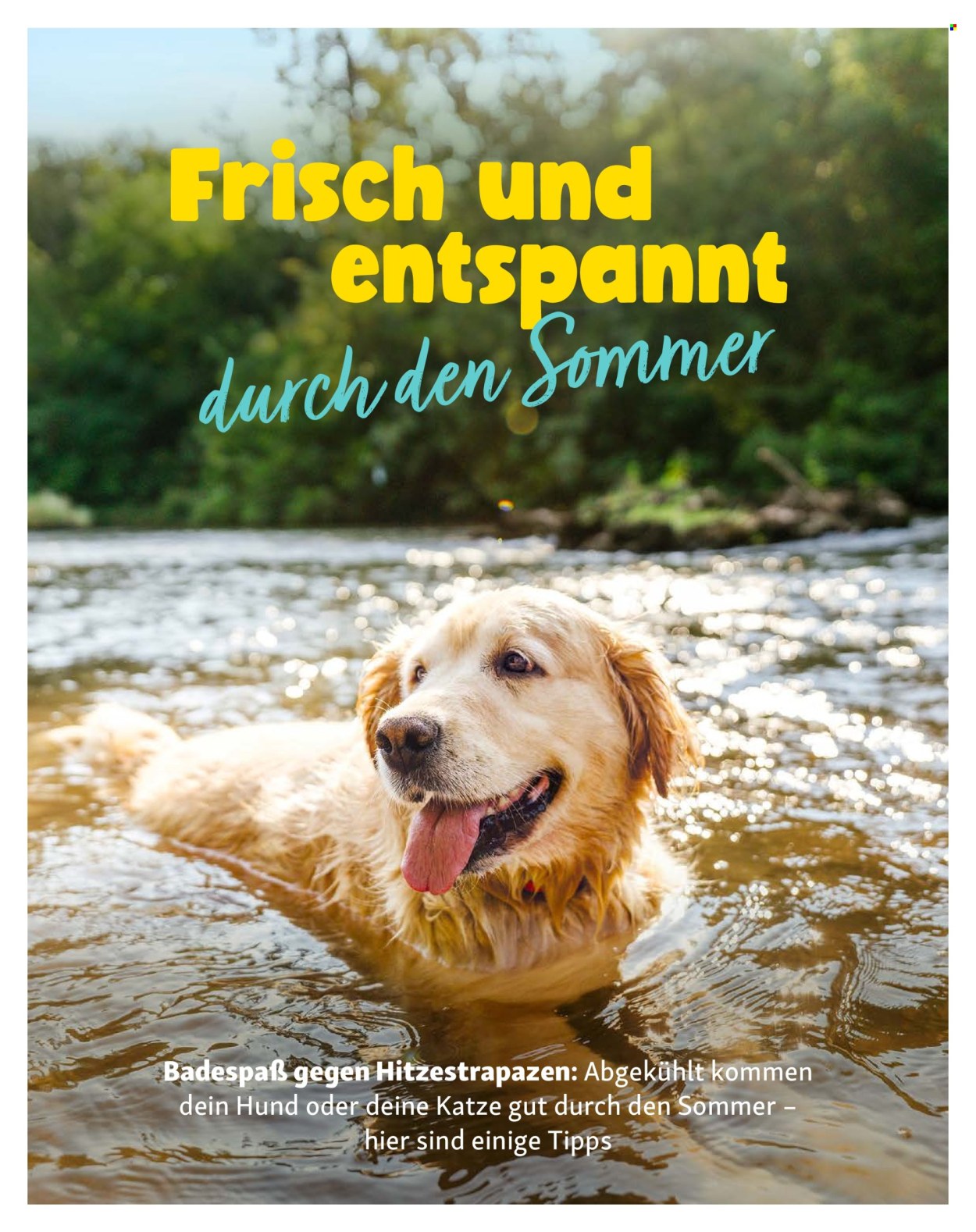 Fressnapf Prospekte  - 1.7.2026 - 31.8.2026. Seite 16