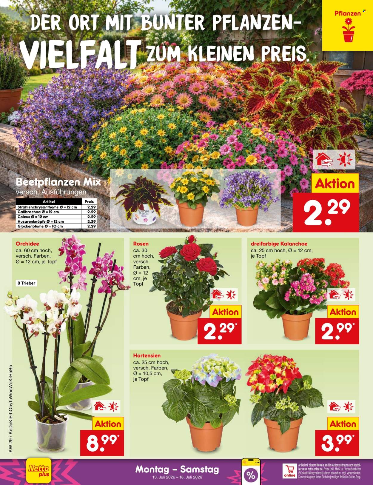 Netto Marken-Discount Prospekte  - 13.7.2026 - 18.7.2026. Seite 42