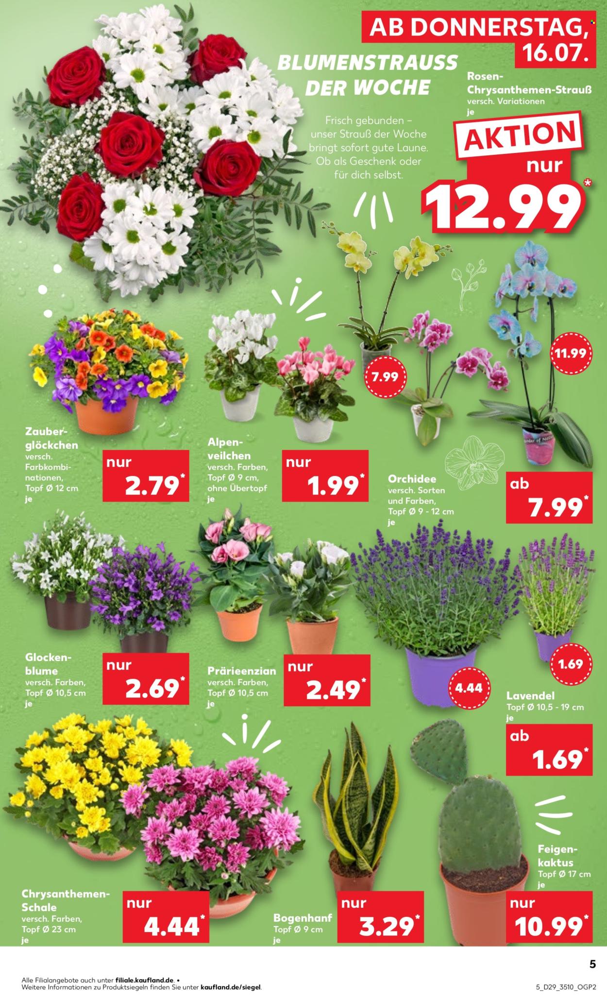 Kaufland Prospekte  - 16.7.2026 - 22.7.2026. Seite 5