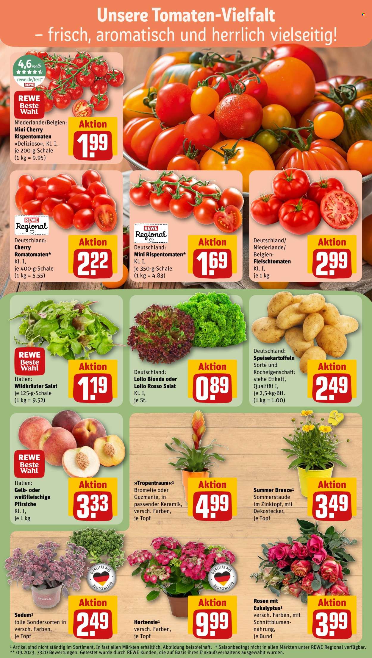REWE Prospekte  - 13.7.2026 - 19.7.2026. Seite 7