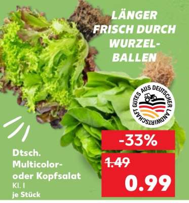 Dtsch. Multicolor- oder Kopfsalat