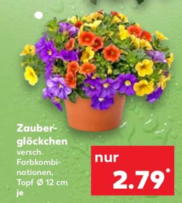 Zauberglöckchen