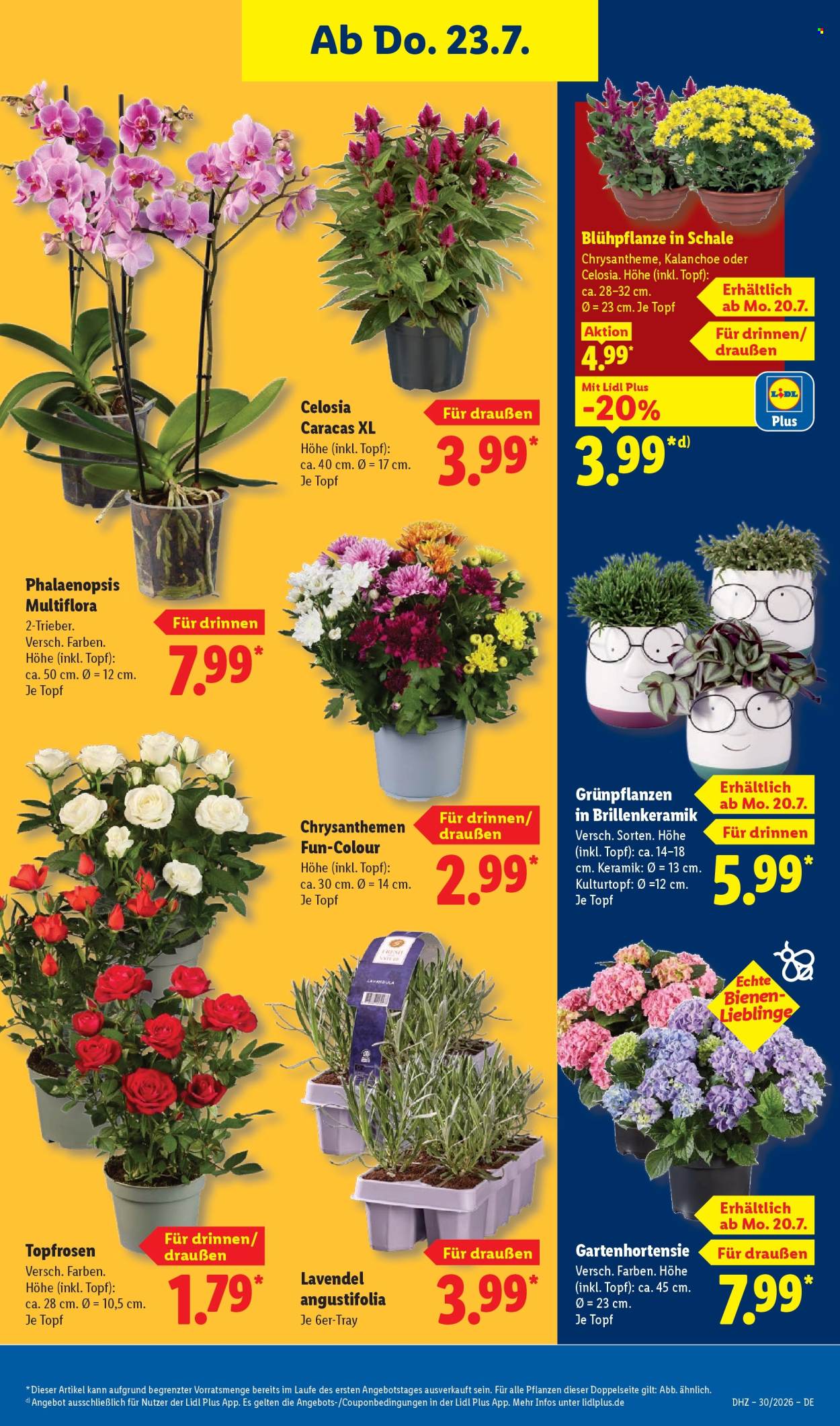 Lidl Prospekte  - 20.7.2026 - 25.7.2026. Seite 29