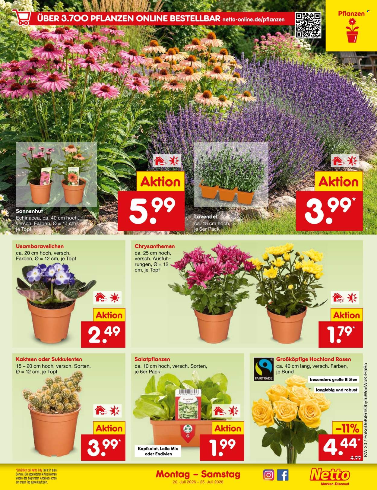 Netto Marken-Discount Prospekte  - 20.7.2026 - 25.7.2026. Seite 47