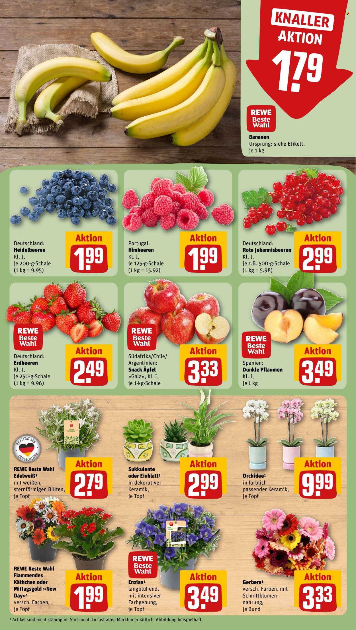 REWE Prospekte  - 20.7.2026 - 26.7.2026. Seite 9