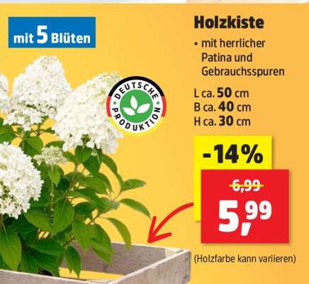 Holzkiste