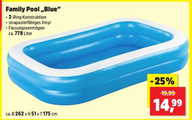 Family Pool „Blue“