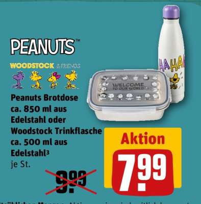 Peanuts Brotdose ca. 850 ml aus Edelstahl oder Woodstock Trinkflasche ca. 500 ml aus Edelstahl