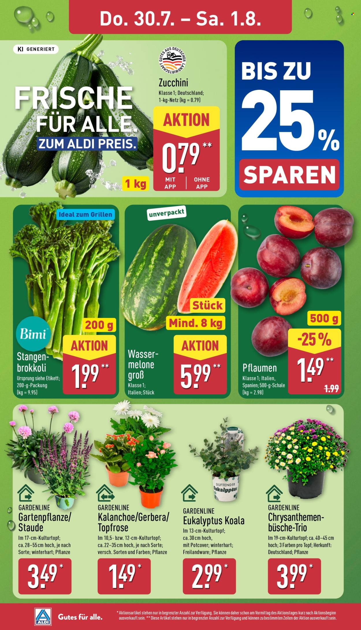 ALDI Nord Prospekte  - 27.7.2026 - 1.8.2026. Seite 32