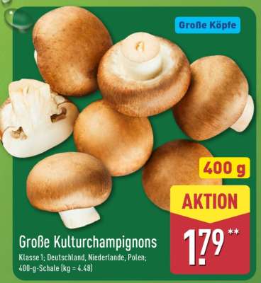 Große Kulturchampignons