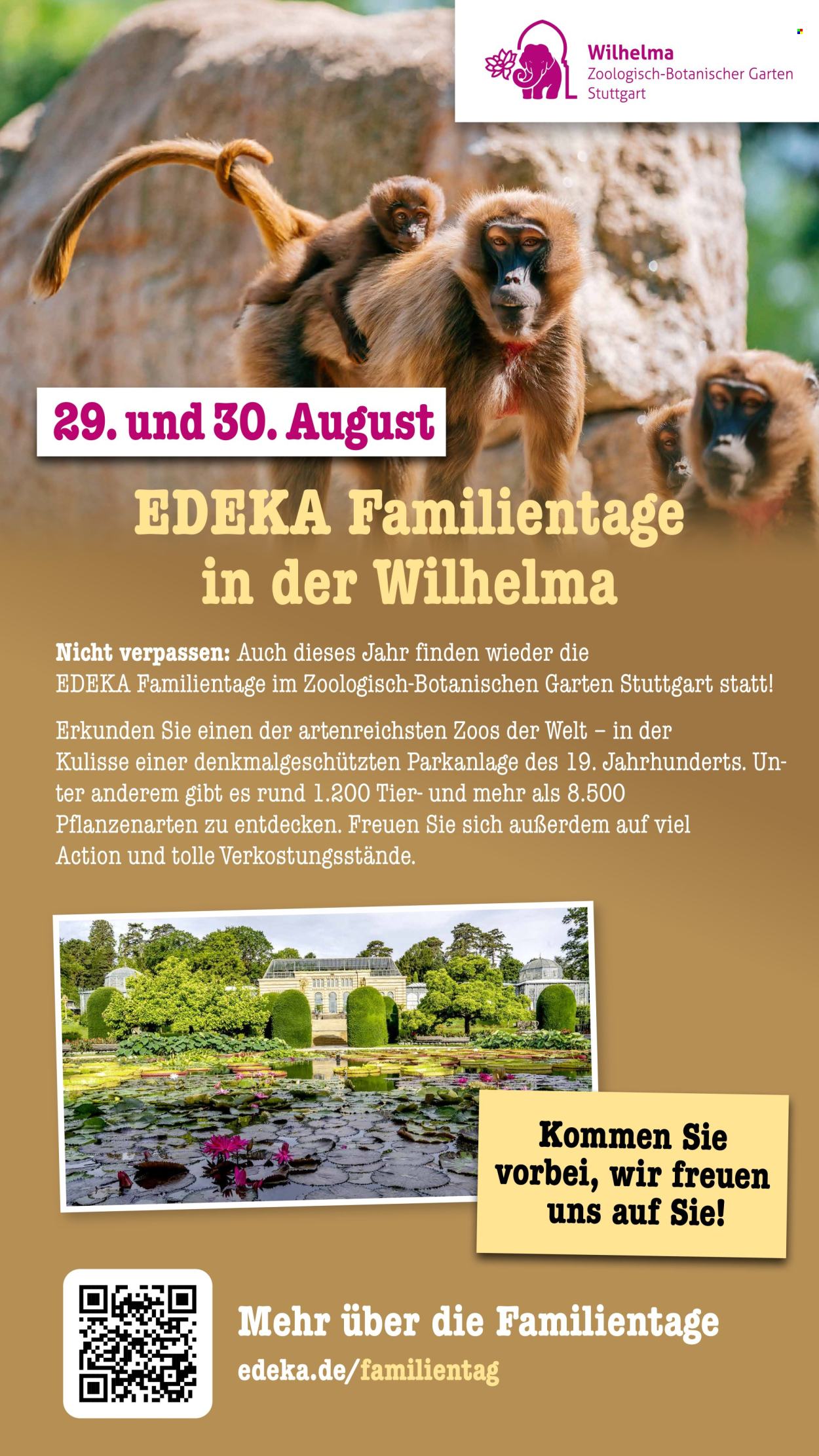 Scheck-in Prospekte  - 20.7.2026 - 25.7.2026. Seite 71