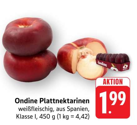 ONDINE Plattnektarinen