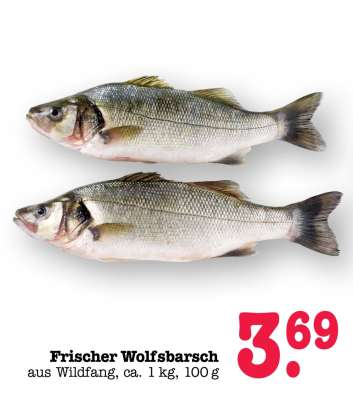 Frischer Wolfsbarsch