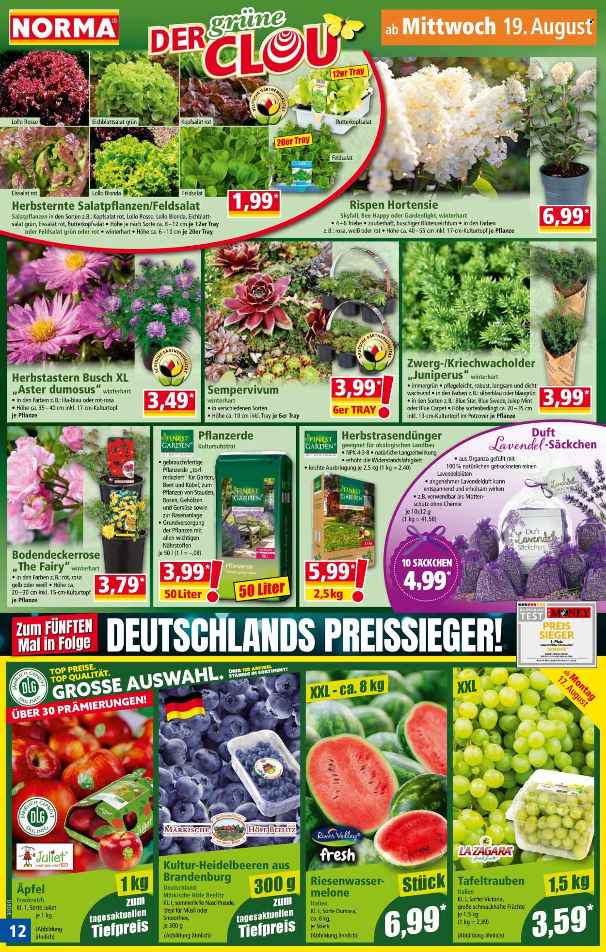 Norma Prospekte  - 17.8.2026 - 23.8.2026. Seite 12