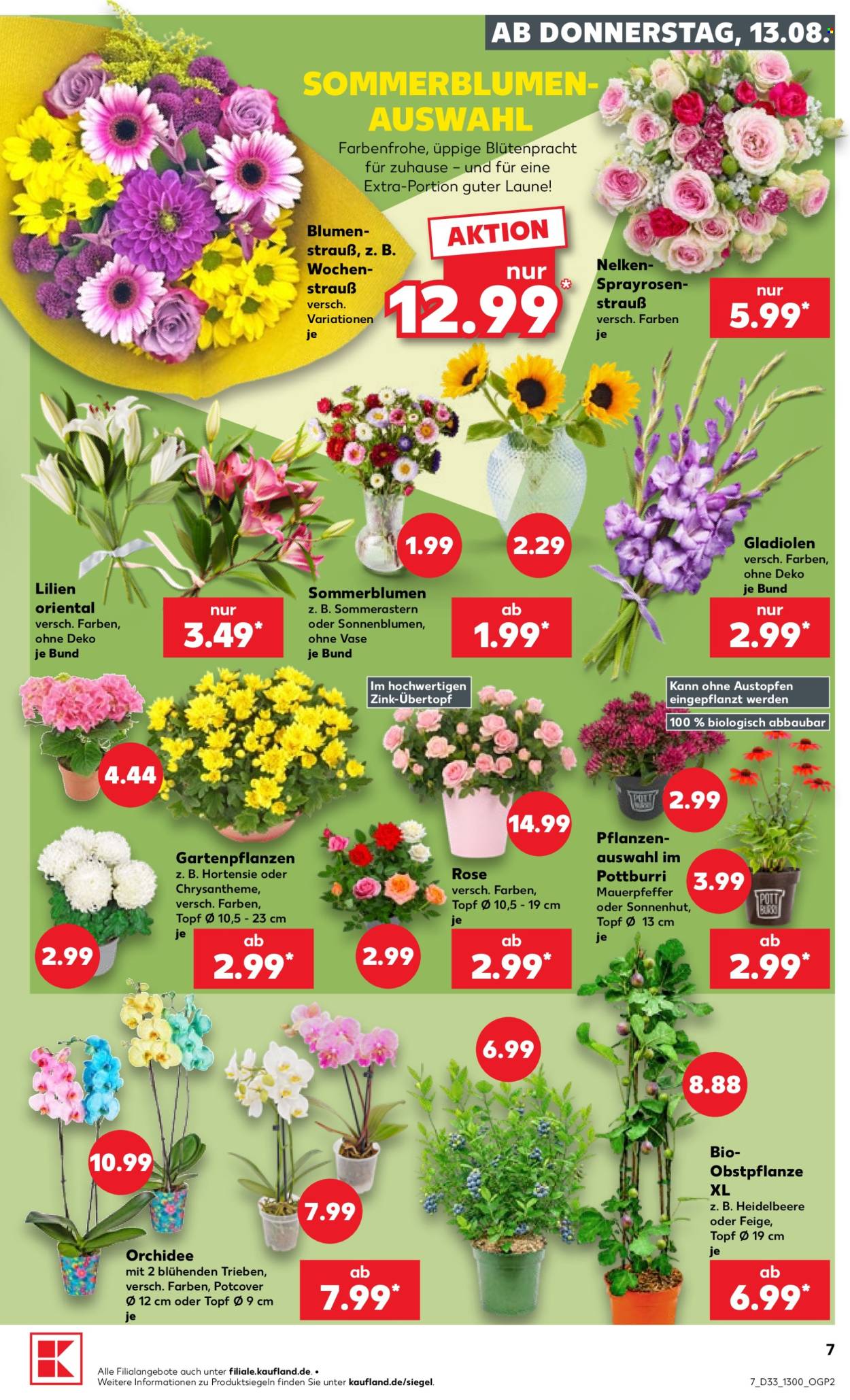 Kaufland Prospekte  - 13.8.2026 - 19.8.2026. Seite 7