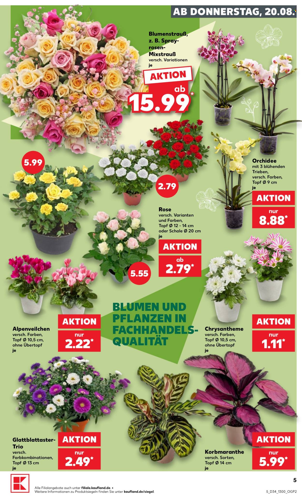 Kaufland Prospekte  - 20.8.2026 - 26.8.2026. Seite 5