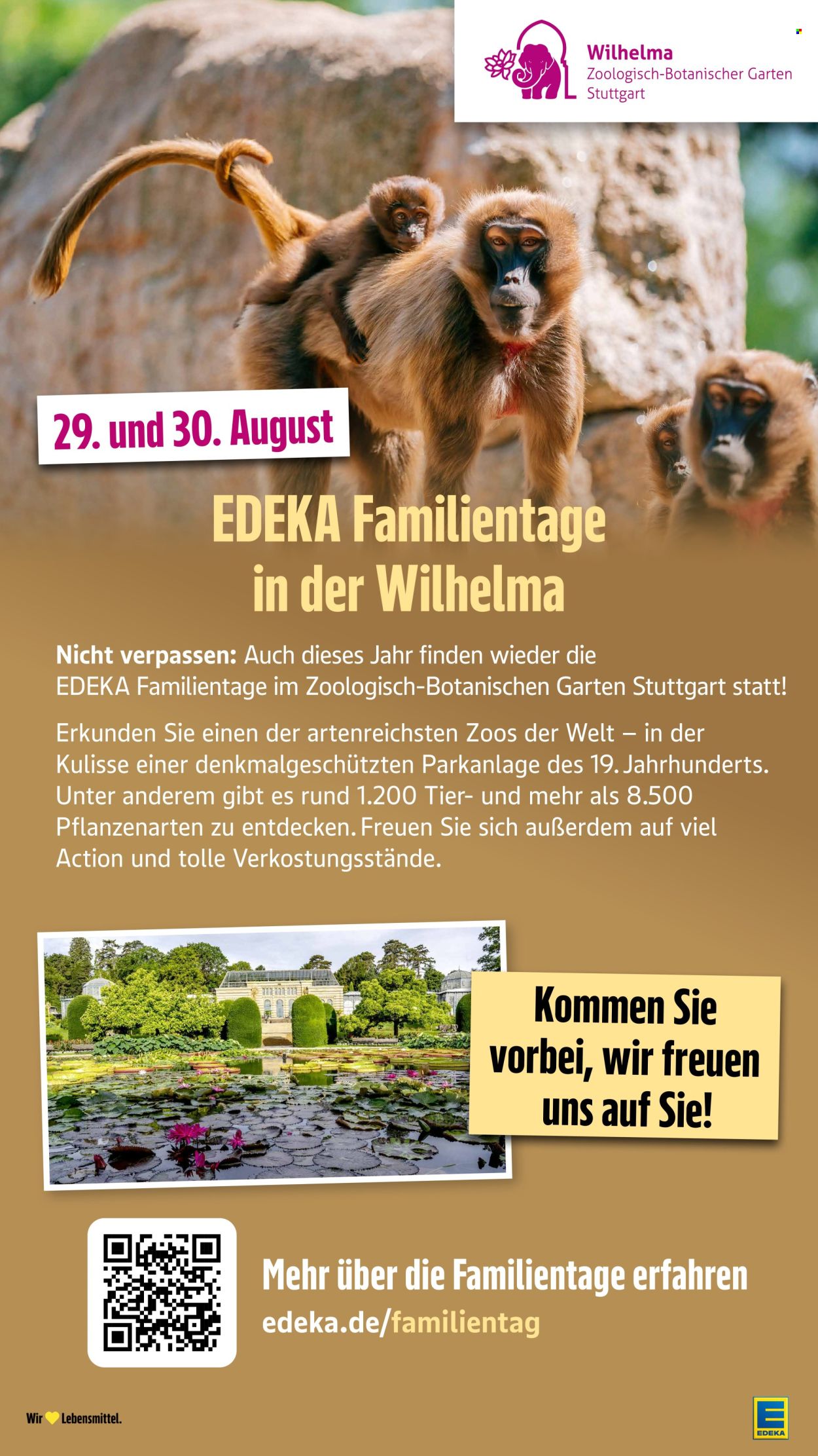 E center Prospekte  - 17.8.2026 - 22.8.2026. Seite 50