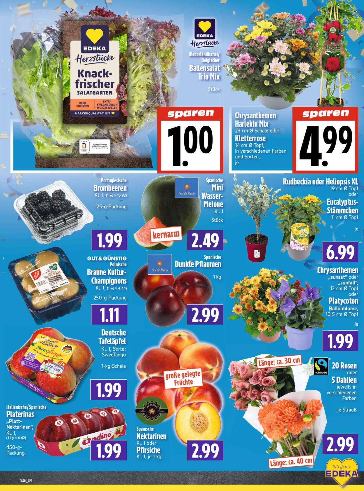 Edeka Prospekte  - 17.8.2026 - 22.8.2026. Seite 7