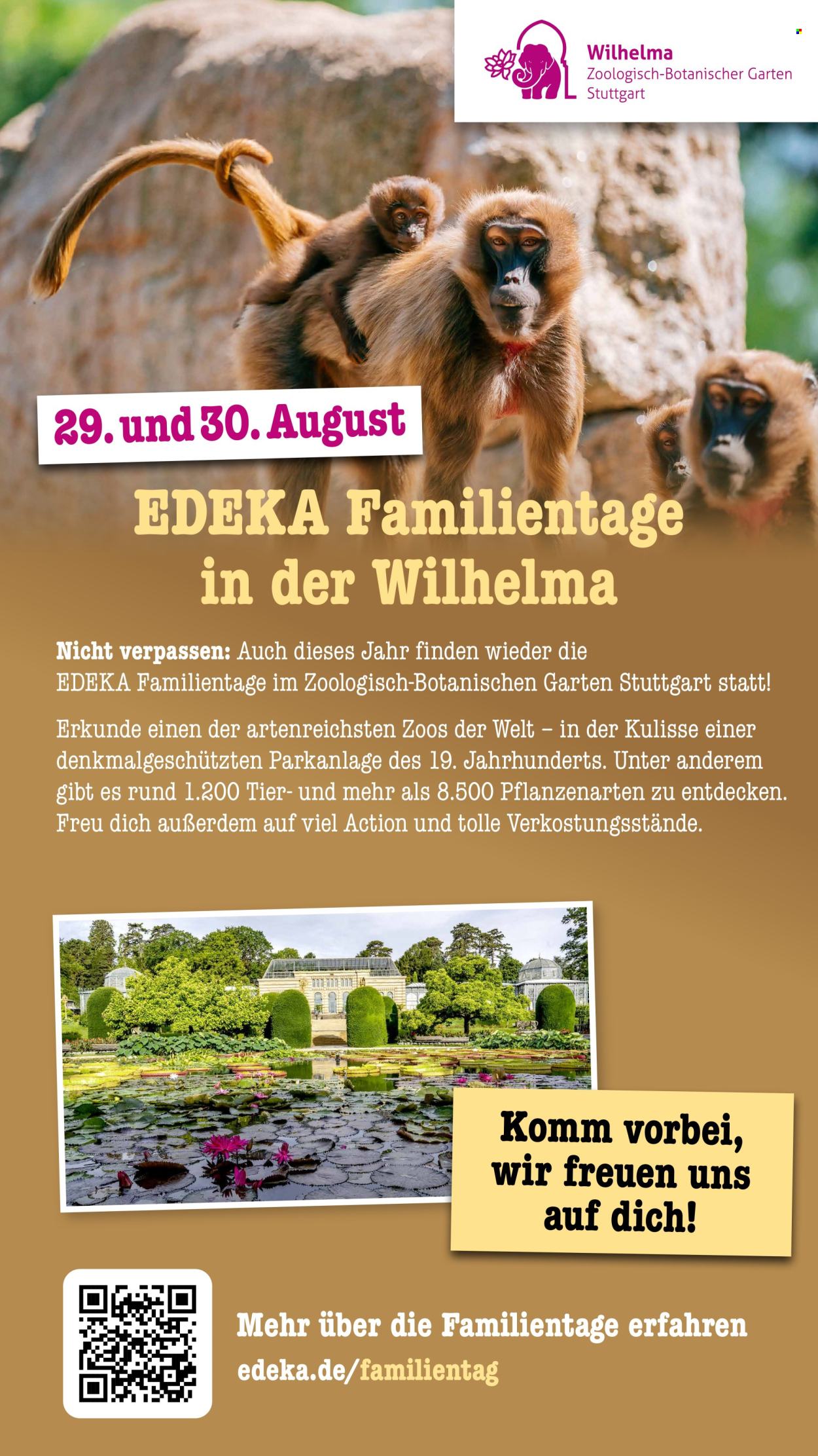 Scheck-in Prospekte  - 17.8.2026 - 22.8.2026. Seite 79