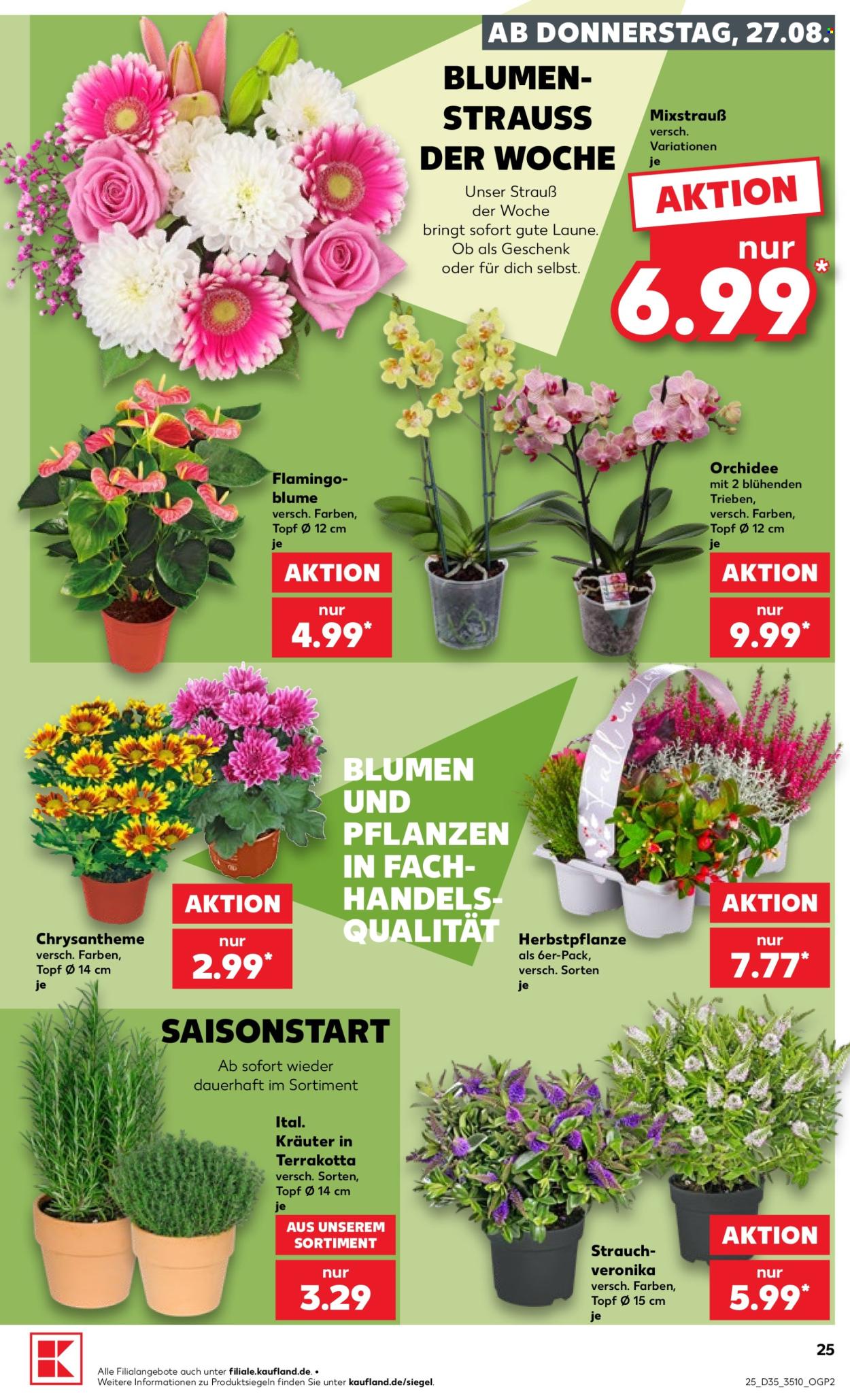 Kaufland Prospekte  - 27.8.2026 - 2.9.2026. Seite 25