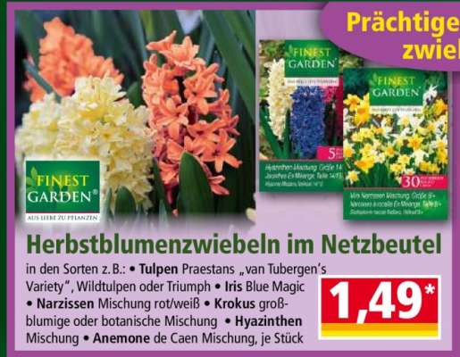 Herbstblumenzwiebeln im Netzbeutel