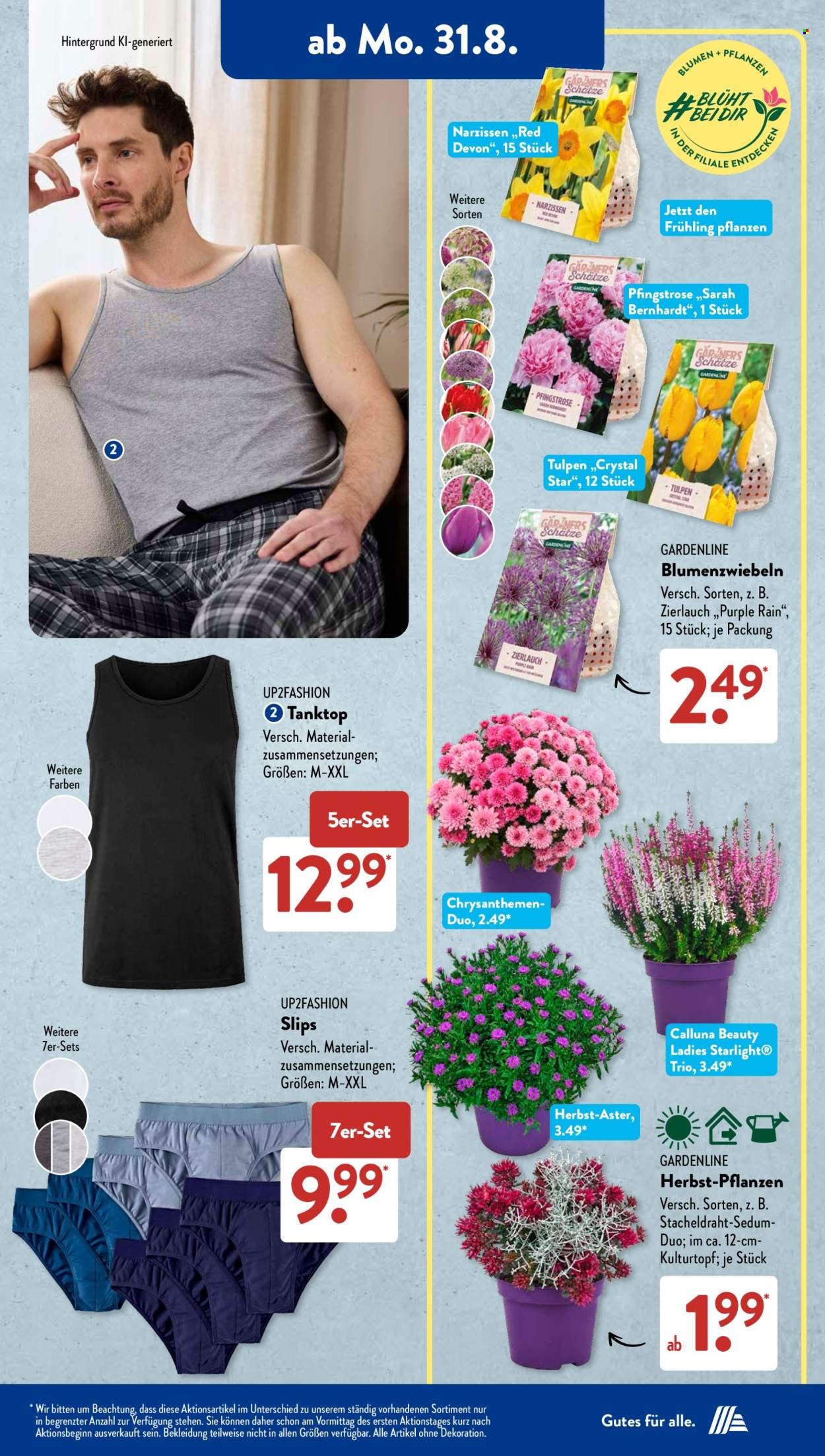 ALDI SÜD Prospekte  - 31.8.2026 - 5.9.2026. Seite 16