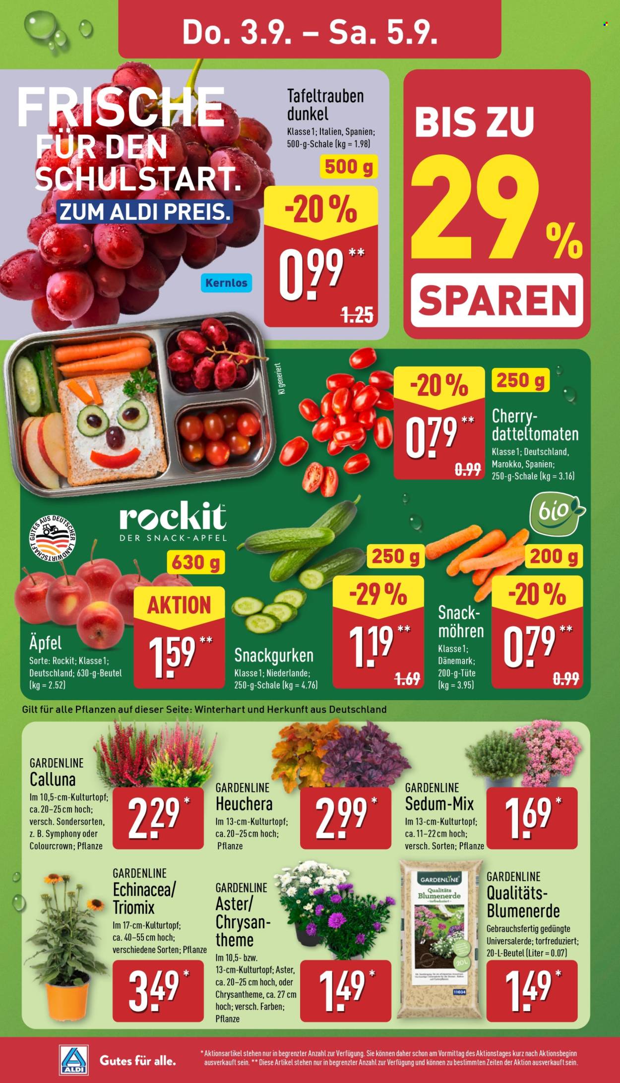 ALDI Nord Prospekte  - 31.8.2026 - 5.9.2026. Seite 26