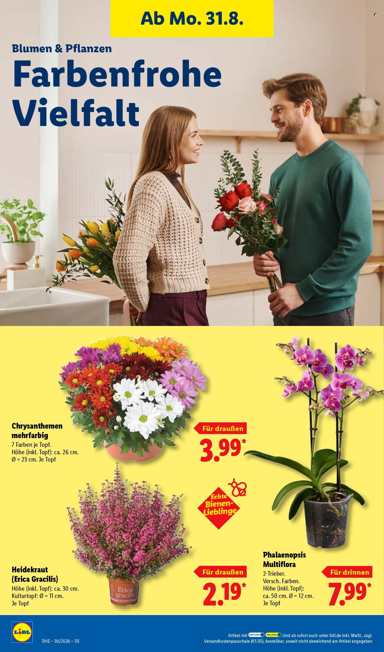 Lidl Prospekte  - 31.8.2026 - 5.9.2026. Seite 26